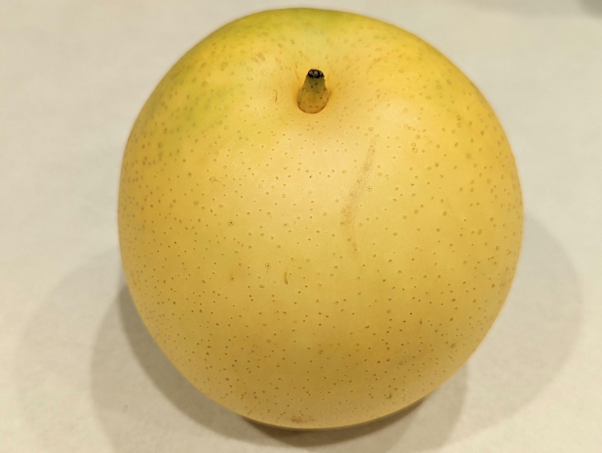 皮が黄色く熟している二十世紀梨