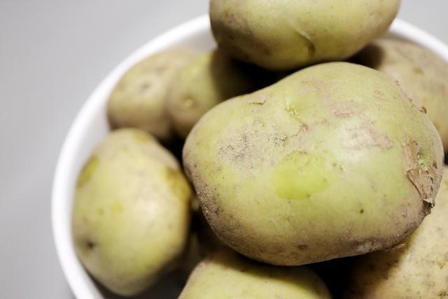 緑色に変色した新じゃがいもは食べられる？八百屋が解説（青髪の