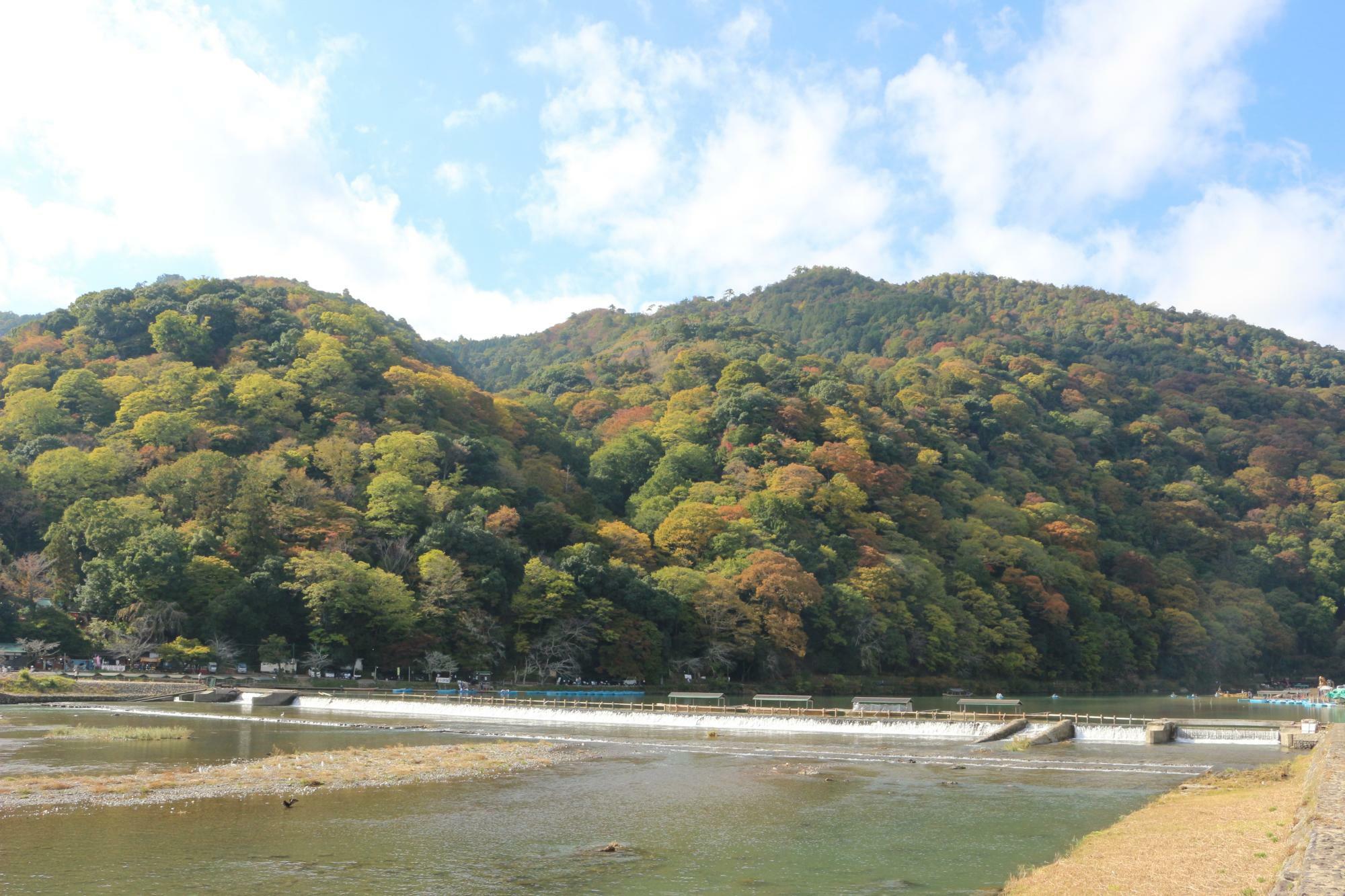 嵐山と大堰川 2024年11月12日 筆者撮影