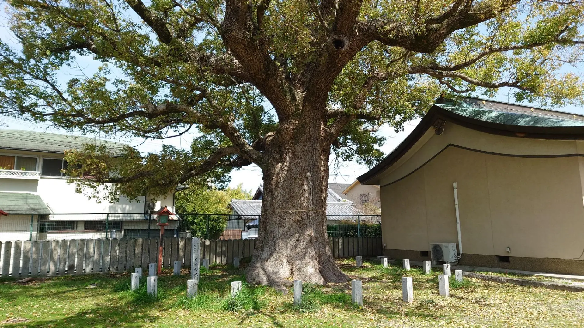 【堺市北区】平安時代の宮廷画家が名前の由来・金岡神社（あおいみかん） - エキスパート - Yahoo!ニュース