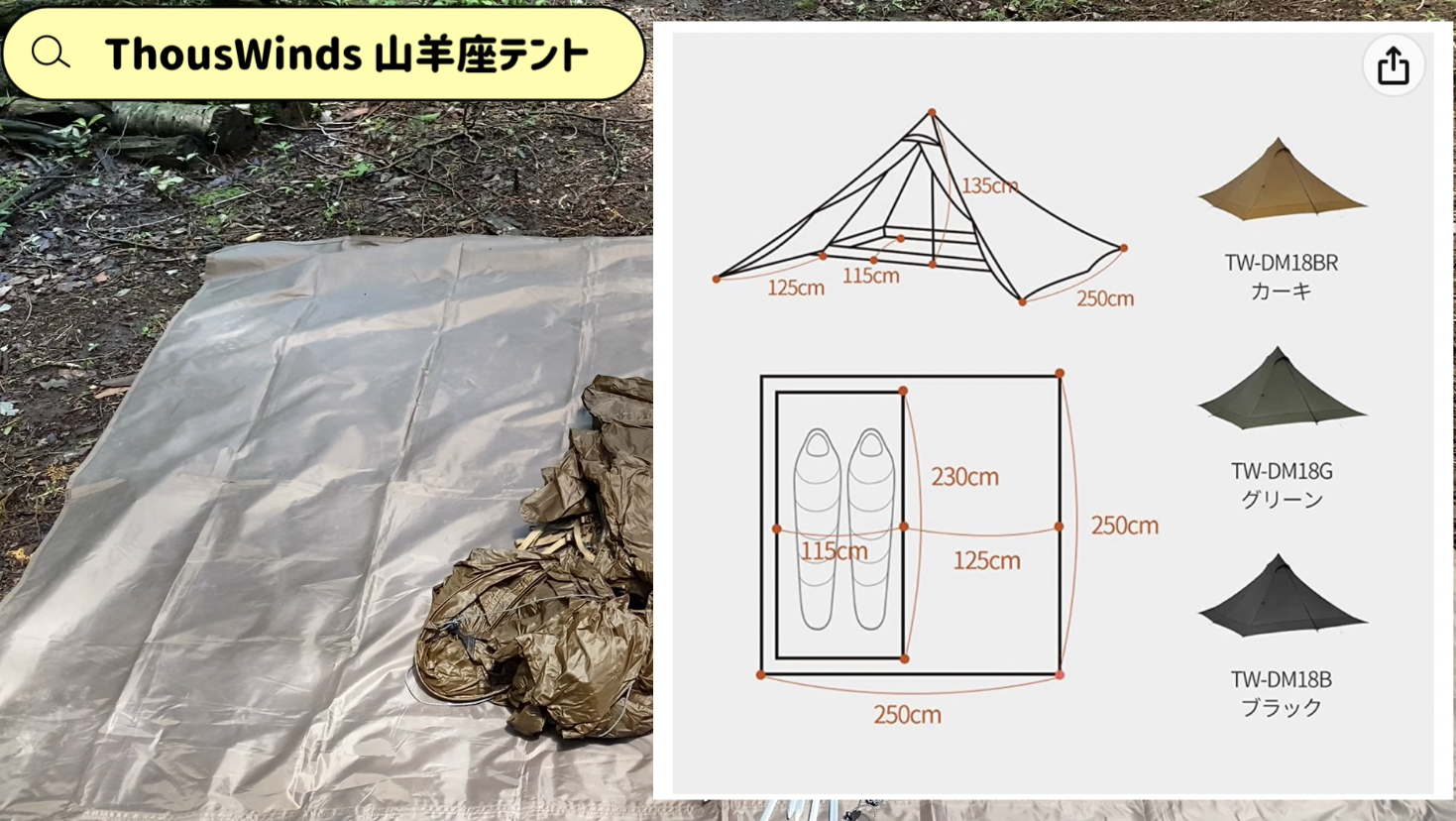 カラー展開は３色。