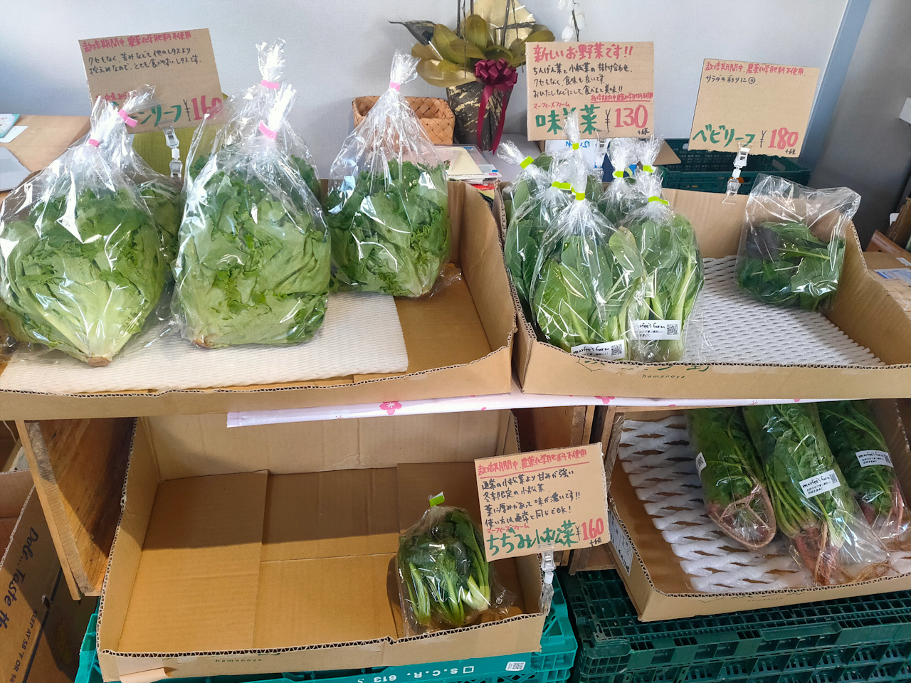 店内では宮崎県の野菜や、自然栽培の野菜などを販売