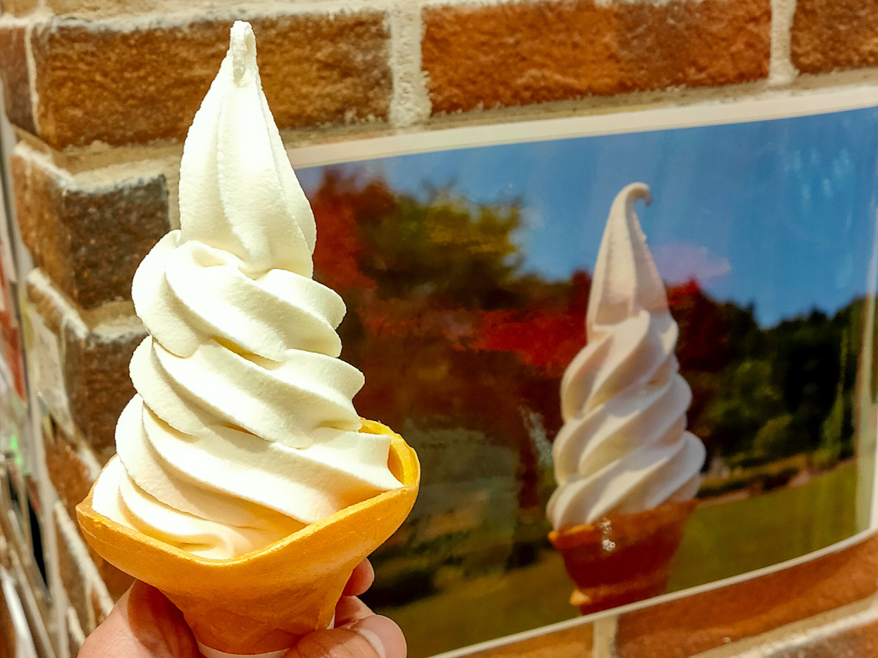 北海道産の牛乳の旨味が引き出されており、スッキリとした美味しさのソフトクリーム