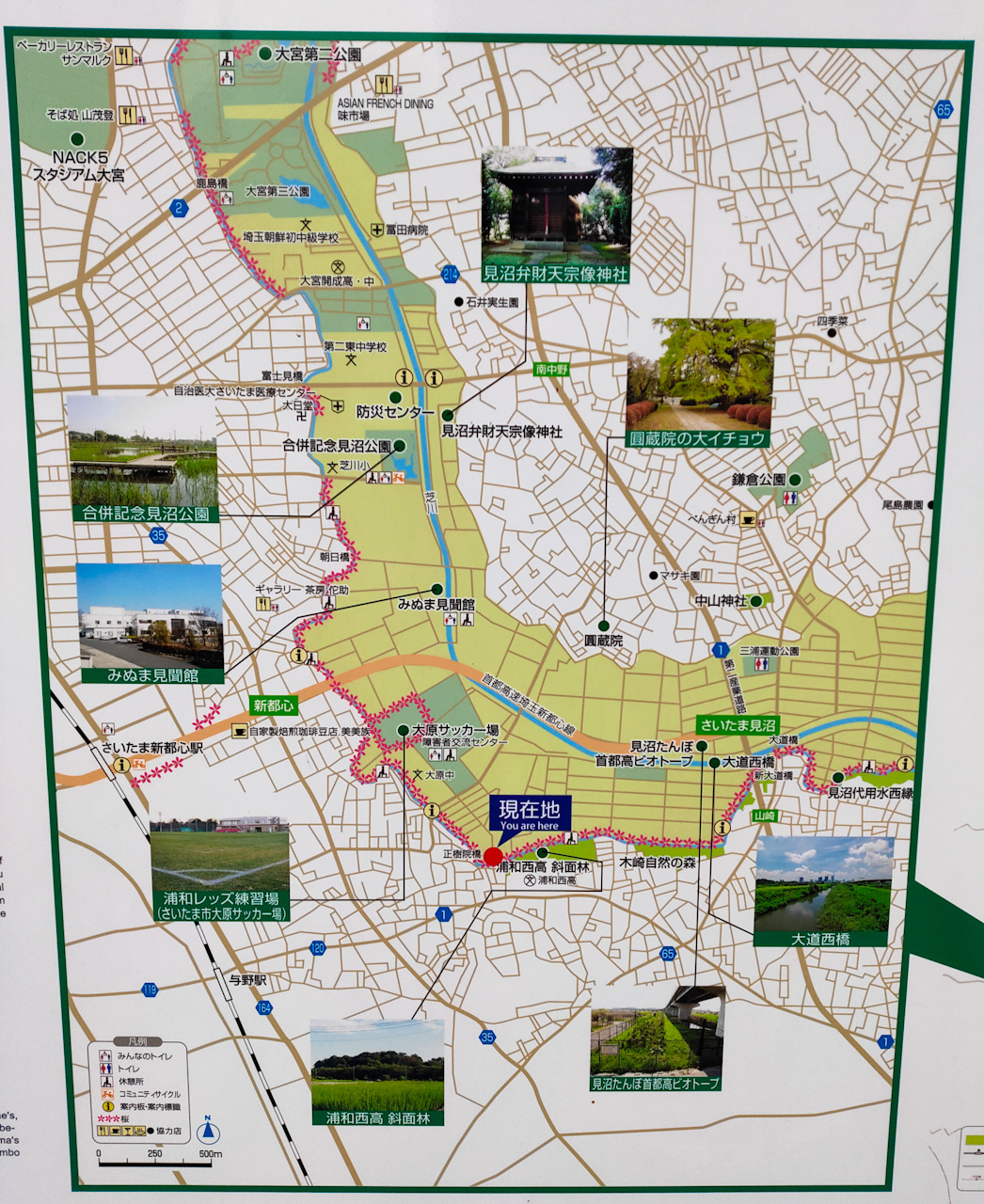 地図上には見沼田んぼ桜回廊の場所を示す桜のマークが付けられています。