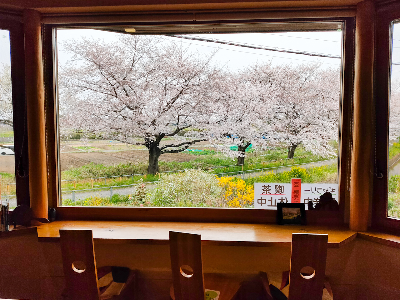 お店の大きな窓からは見沼田んぼの桜回廊が眺められます