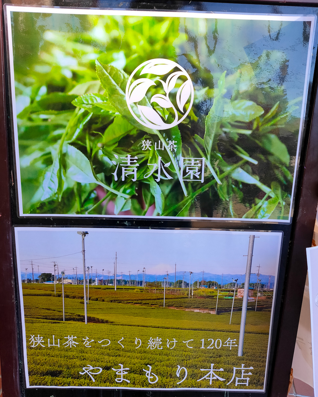 埼玉のお茶・狭山茶農家の「清水園」さんと「やまもり本店」さんの茶葉を使用した緑茶ラテや緑茶プリンを提供