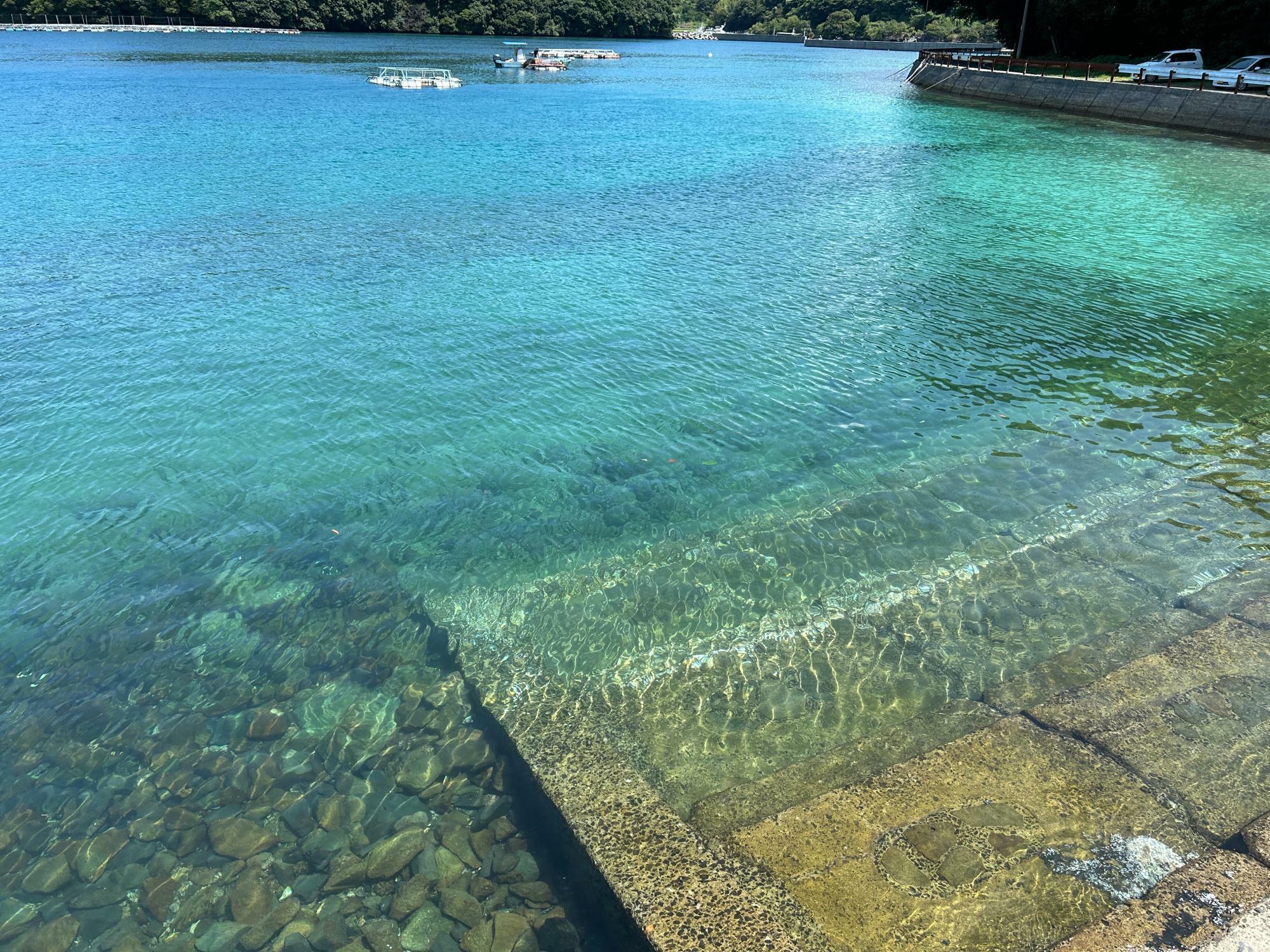 陸から見える透明度の高い海