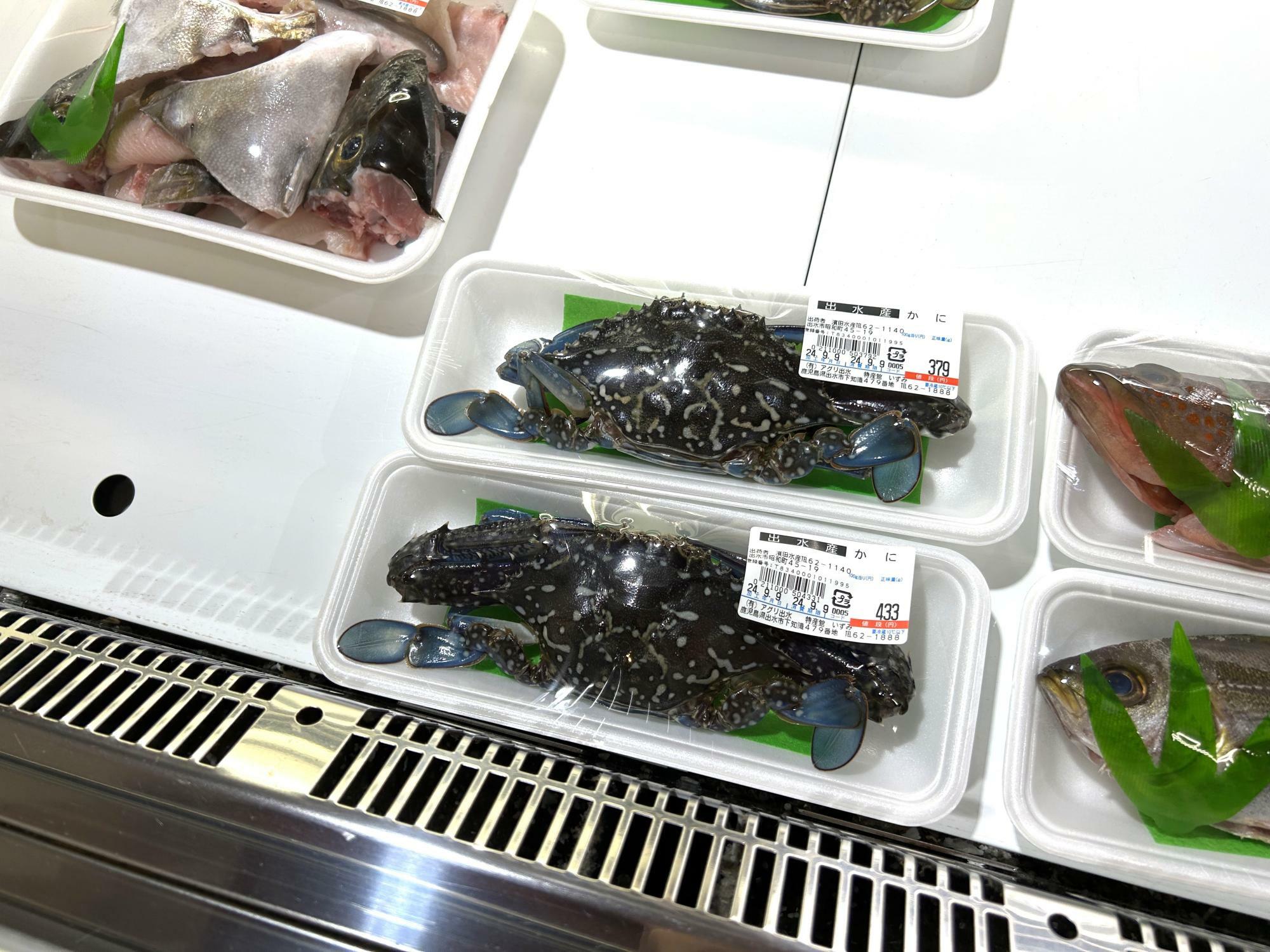 鮮魚売り場のカニや魚