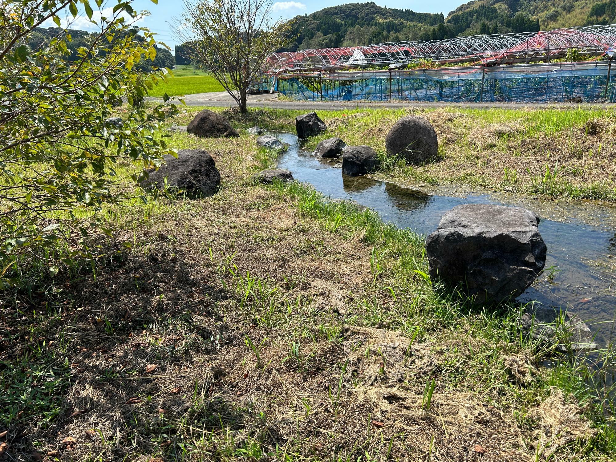 9月8日に見た彼岸花スポット