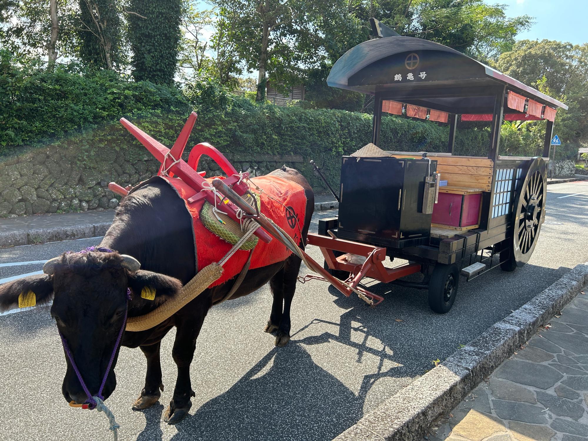 いずみ観光牛車