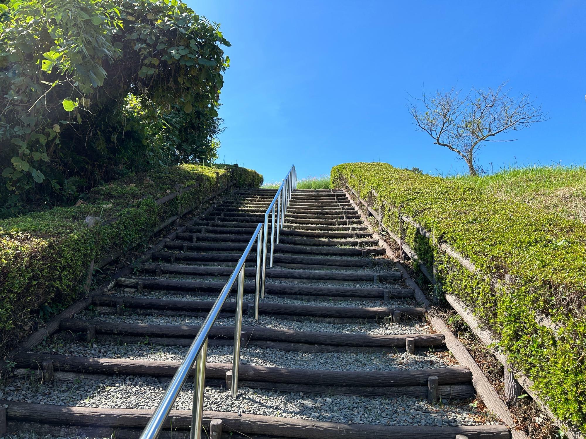 上場高原に上がっていく階段