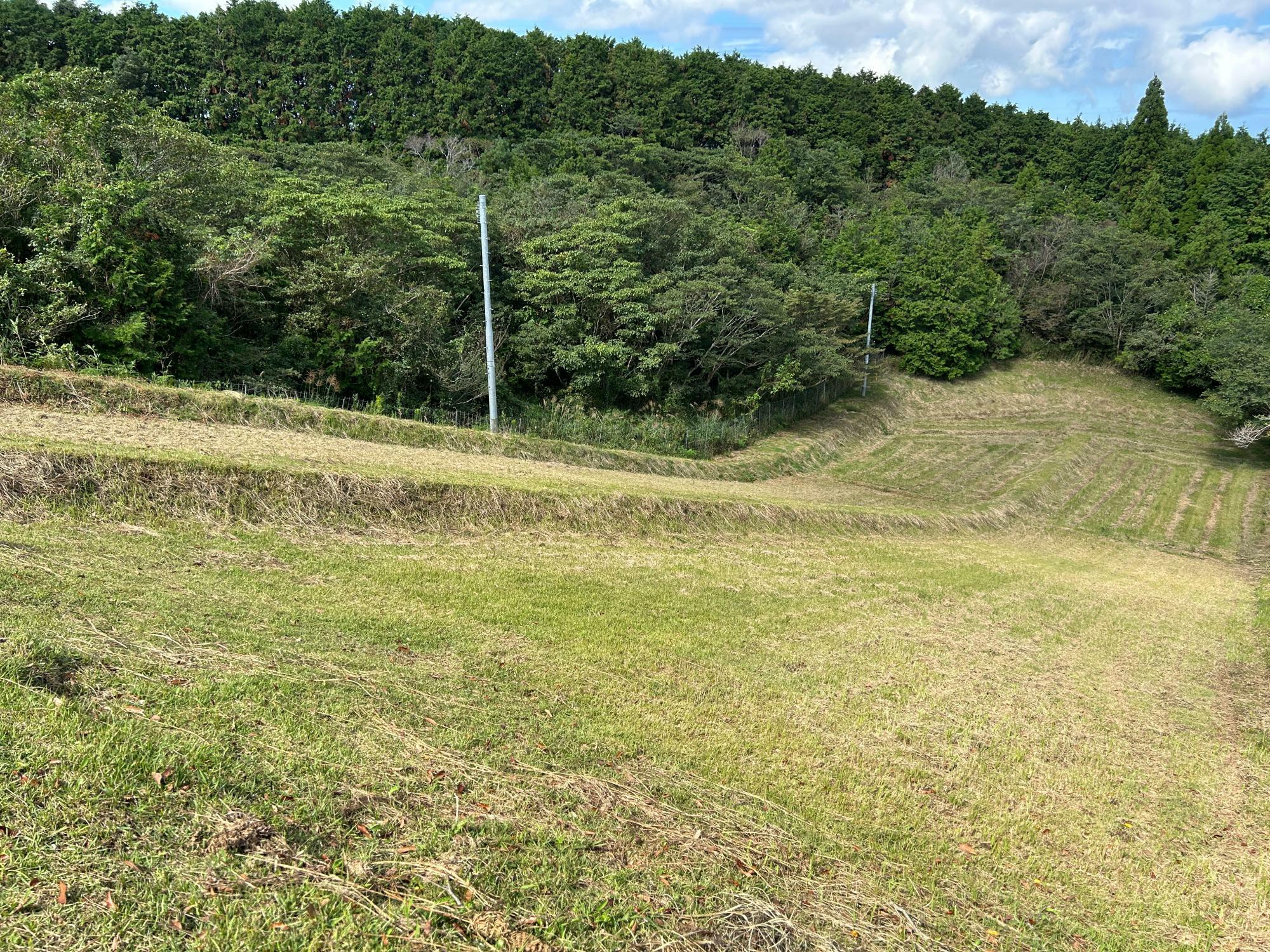 頂上から見た草すべり用のコース