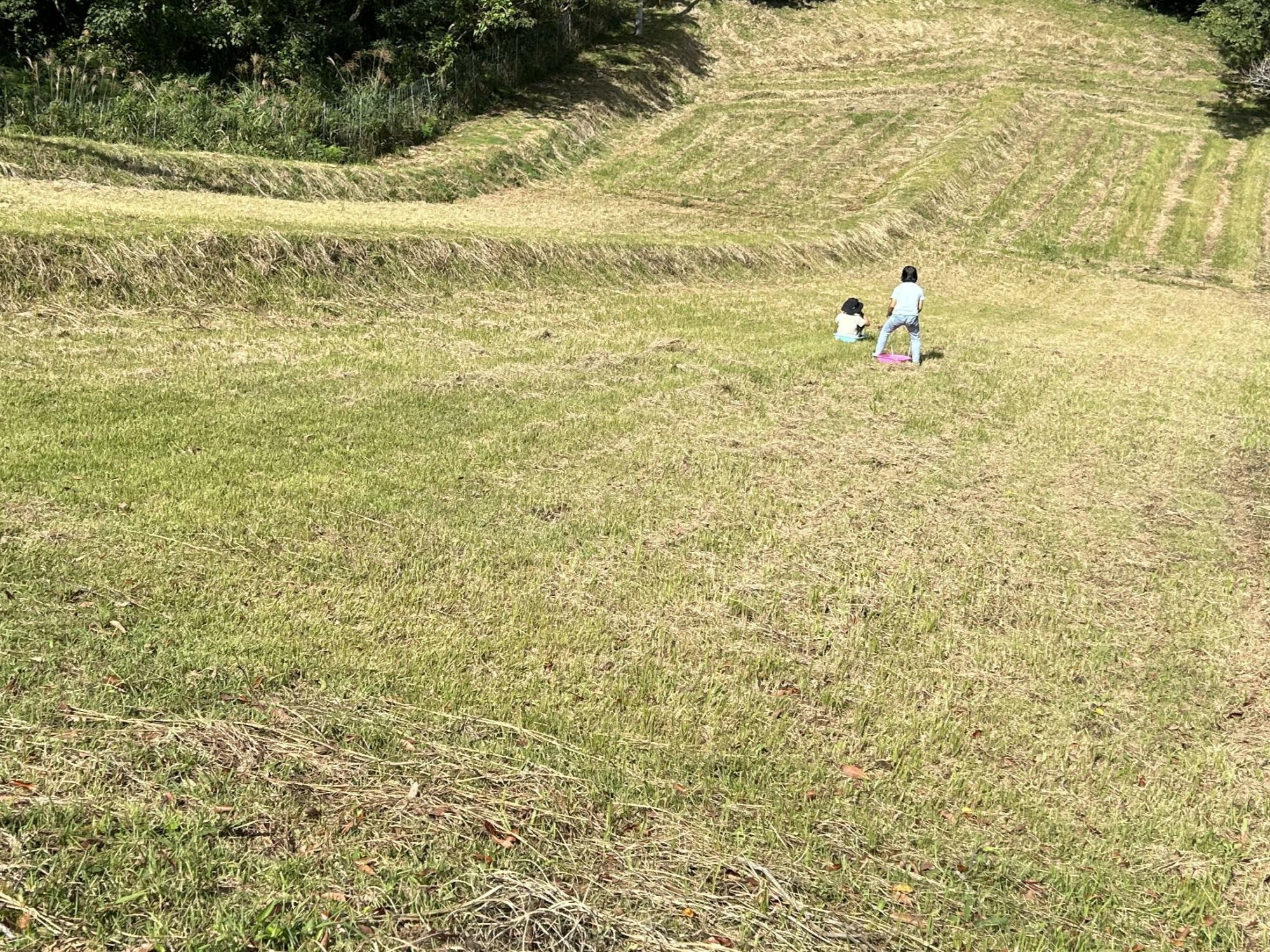 草ソリを楽しむ子どもたち