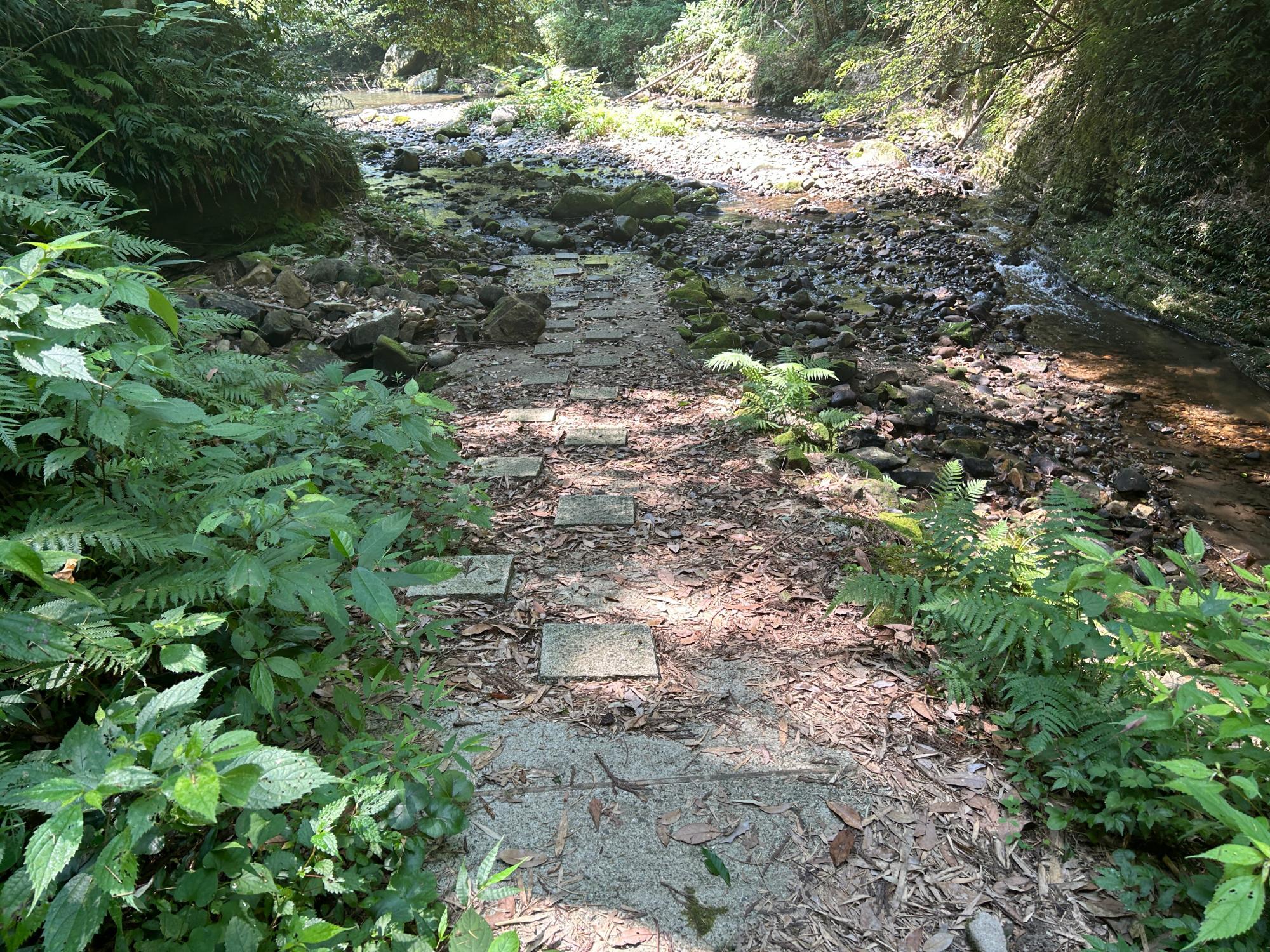 薩摩川内市】県道42号線沿いに看板のある 気になっていた滝に