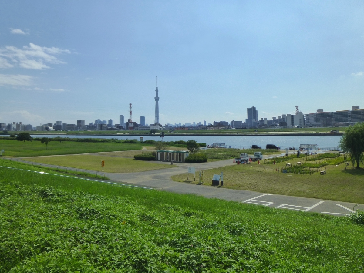 荒川の広々した景色と東京スカイツリーを楽しめる堀切水辺公園