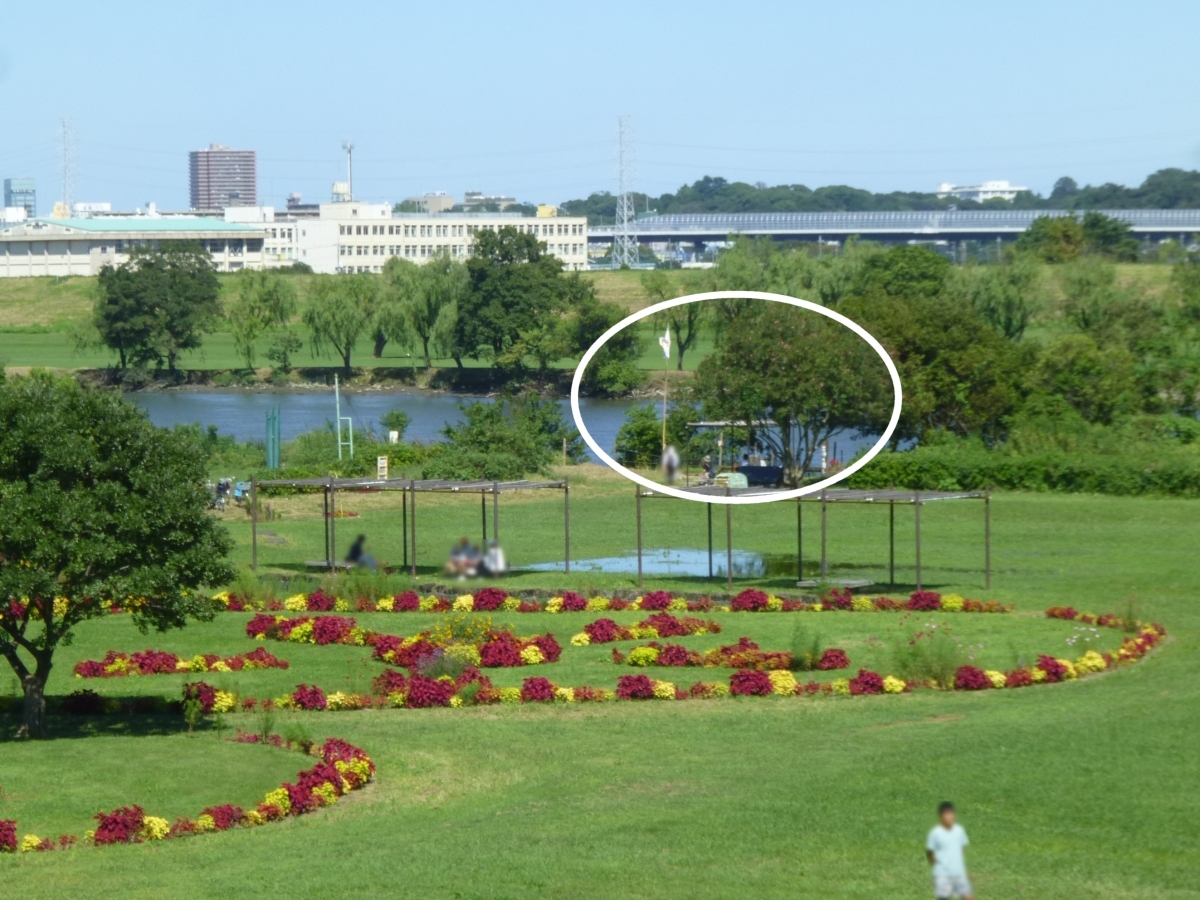 柴又公園沿いにある「矢切の渡し」の柴又側船着場
