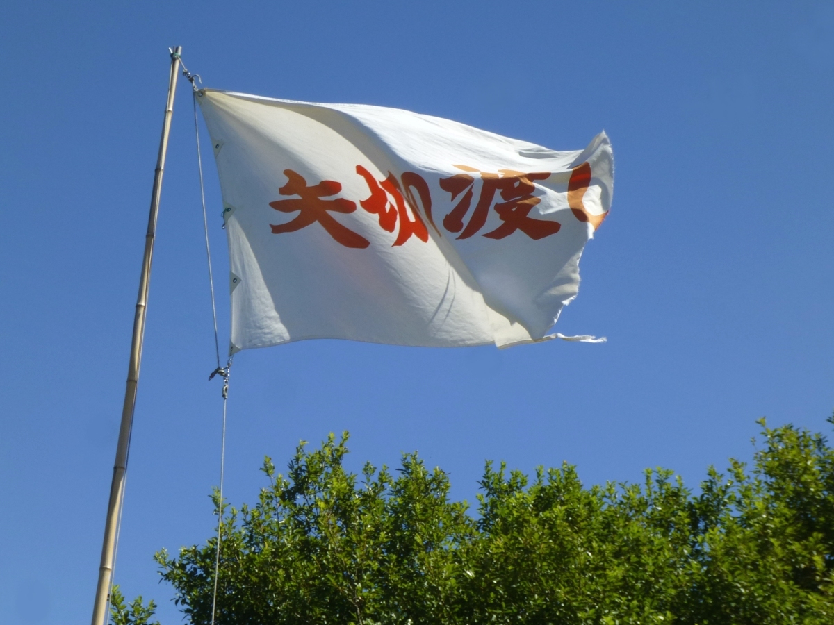 風に翻る「矢切の渡し」の白い旗