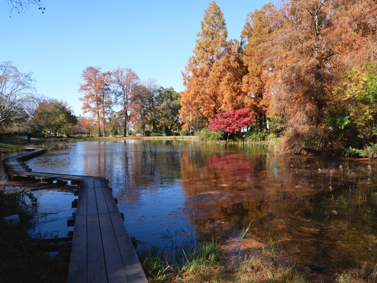 池の水面に映し出された紅葉