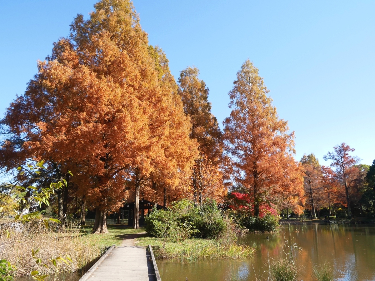 小島へ渡る橋