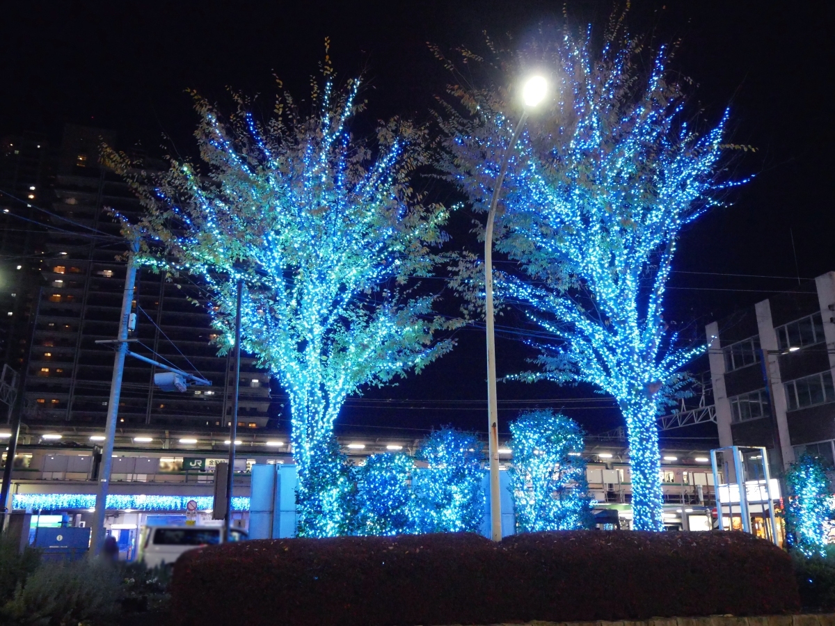 北口駅前ロータリーの木々