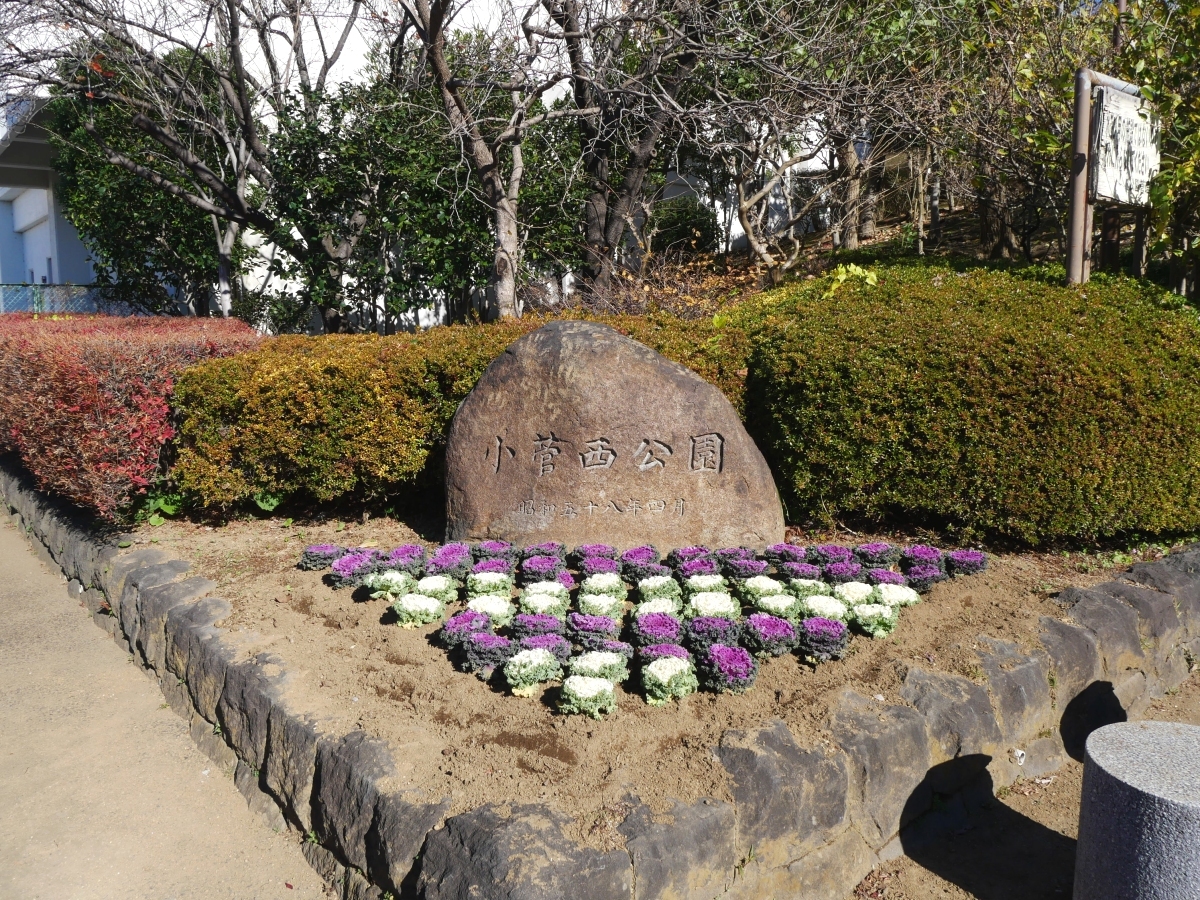 初冬のたたずまいの小菅西公園