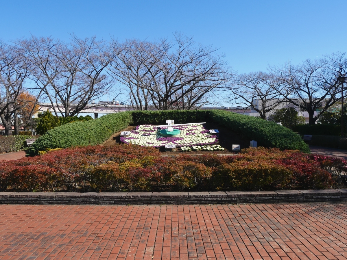 階段を上がった先には寅の花時計が…