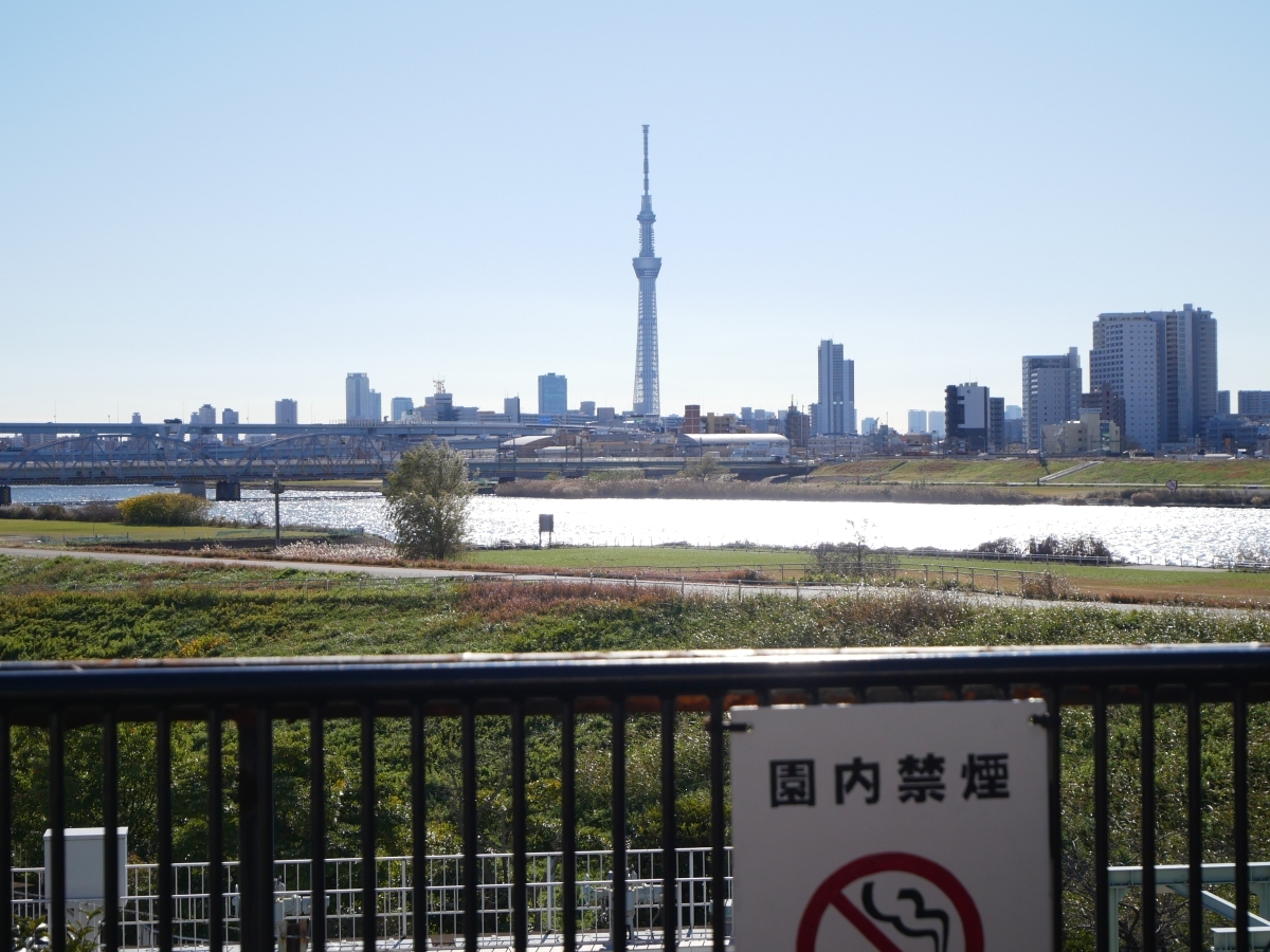 園内から見えるスカイツリーと荒川