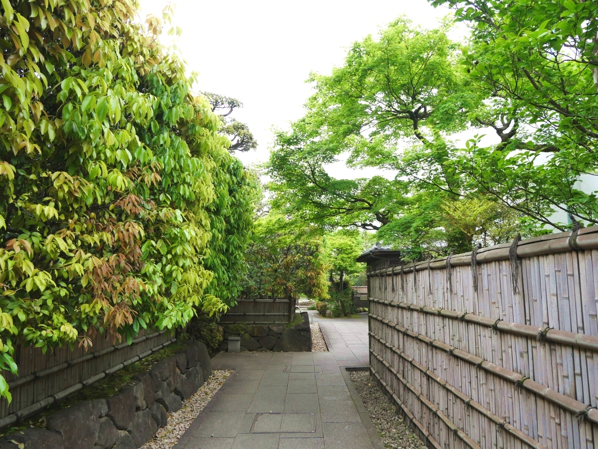 葛飾区】ツツジの紅色に染まる柴又公園!寅さん記念館北側の階段 葛飾区】ツツジの紅色に染まる柴又公園!寅さん記念館北側の階段