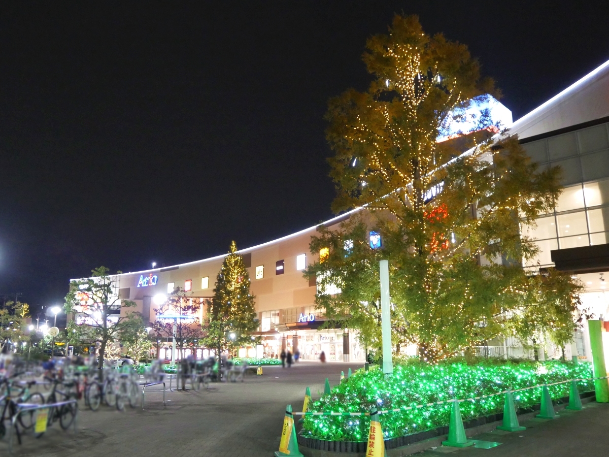 シャンパンゴールドの光が木々を包むイベント広場