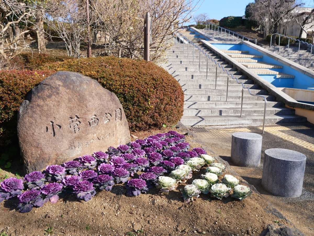 小菅西公園の階段と石銘板