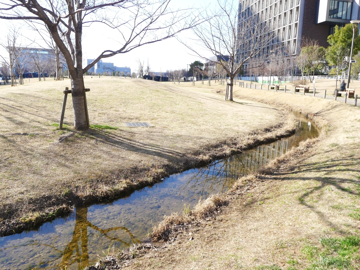 水路がゆるやかに伸びる芝生の園内