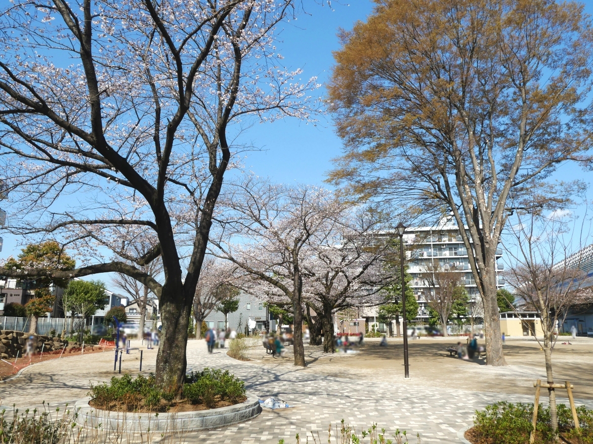 桜が開花した鎌倉公園の北側・高架下エリア