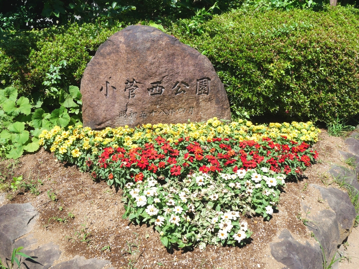 菅西公園の石銘板を彩る花