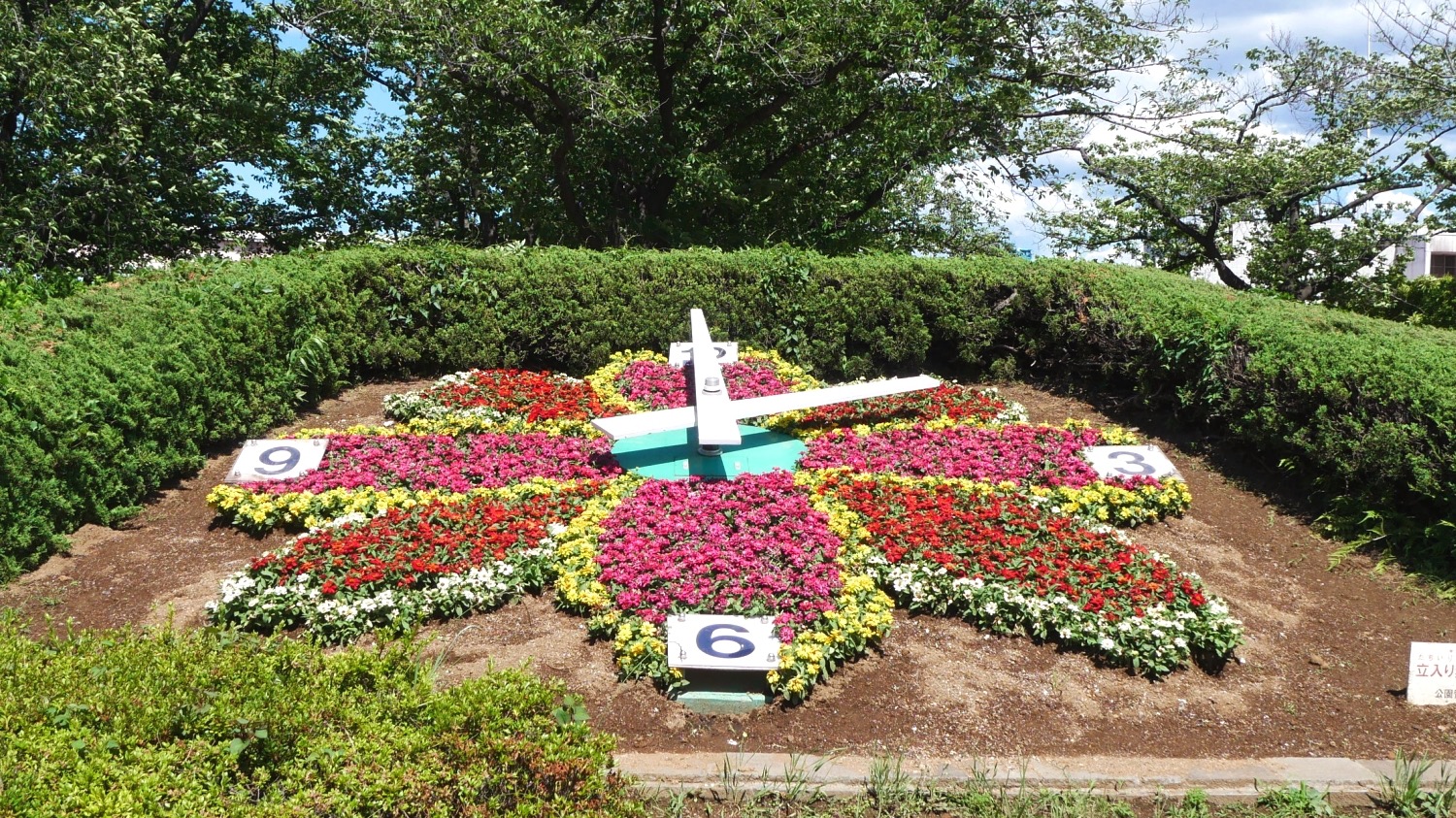 葛飾区】鮮やかで大きな花のデザインが迫力！小菅西公園の花時計が