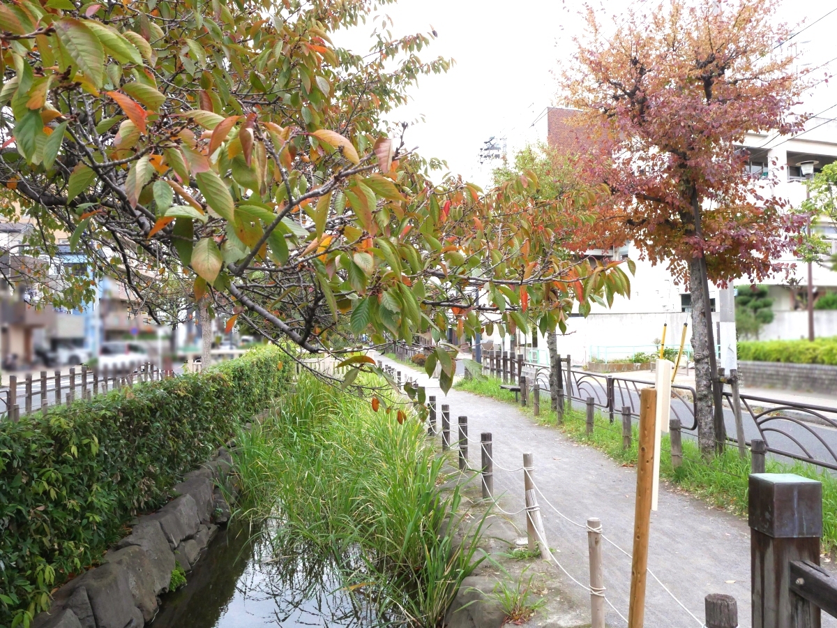 水路に沿ってのびる散策路