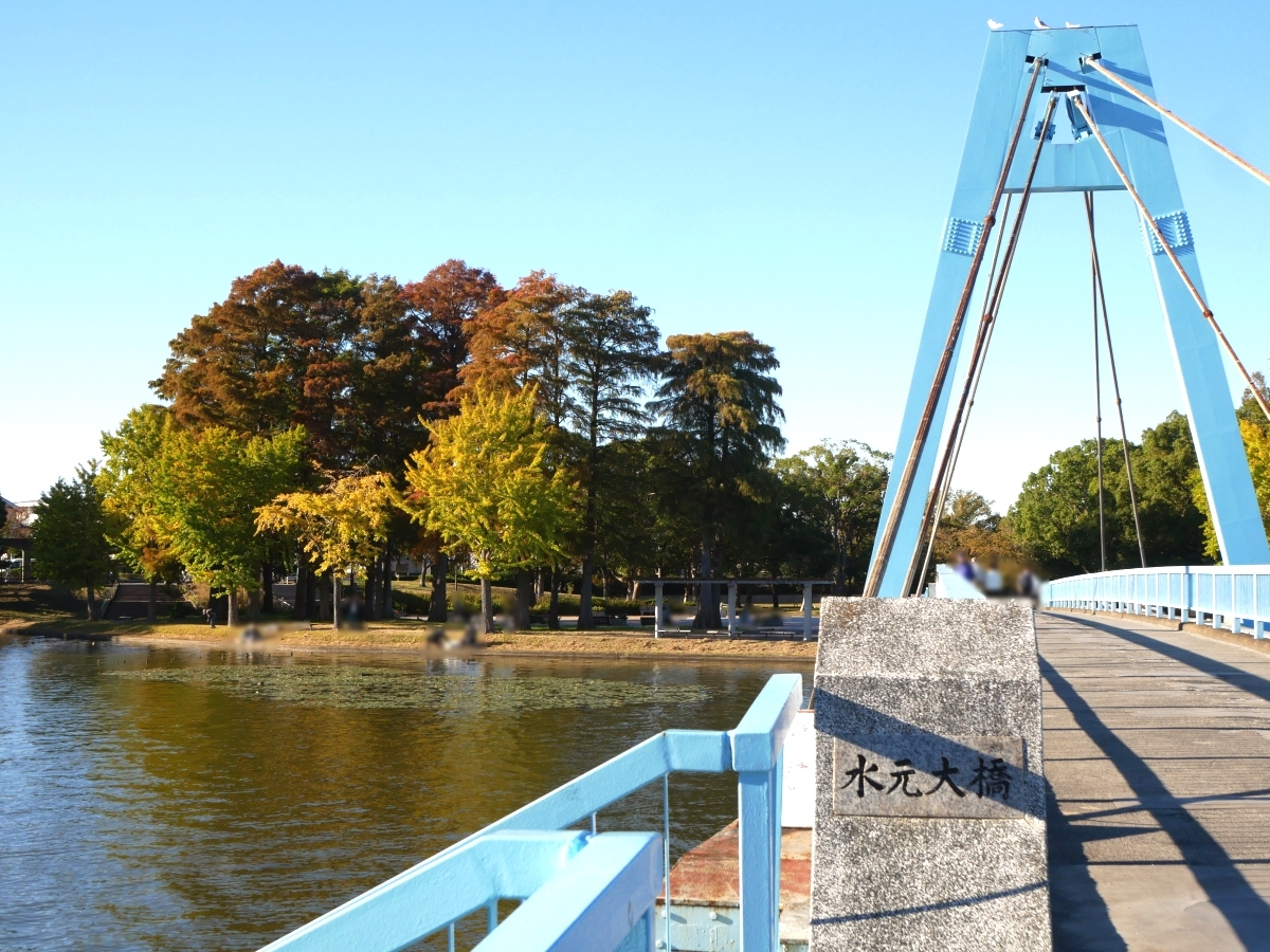 小合溜の岸を彩る紅葉と水元大橋