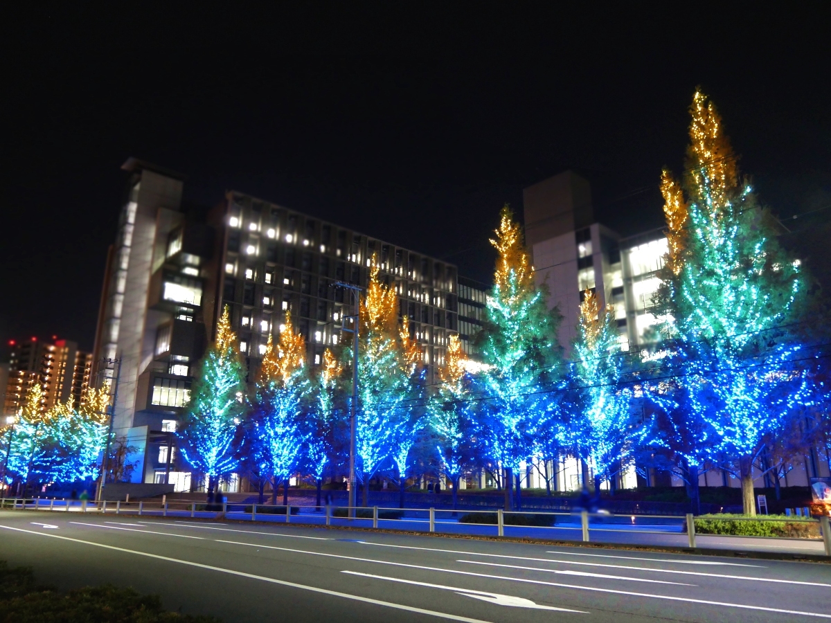 東京理科大学 葛飾キャンパス前のイルミネーション