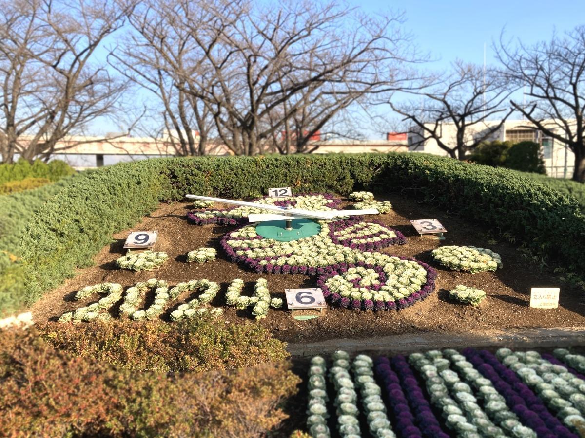 花時計にお目見えしたタツノオトシゴ