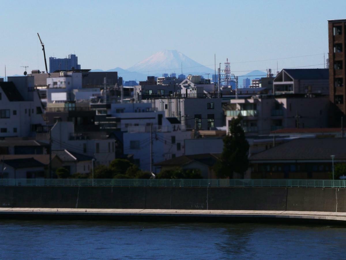 中川の青い水に富士山が似合う