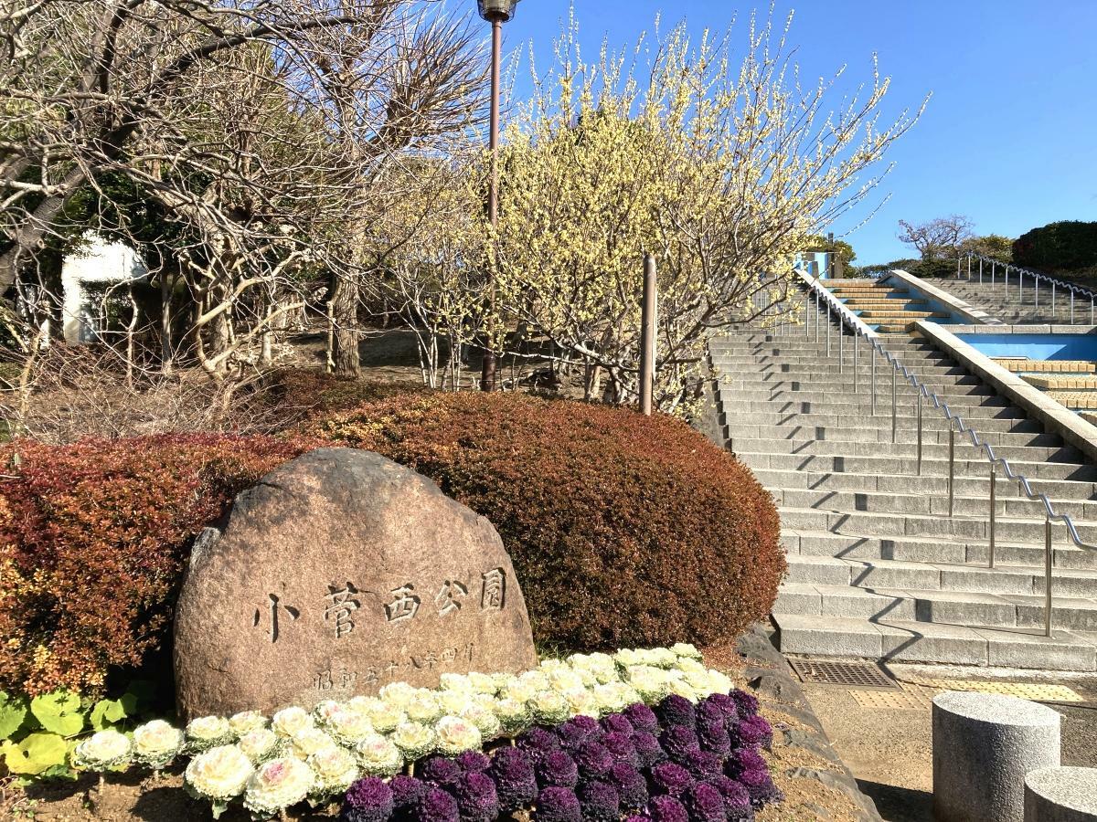 小菅西公園の石銘板と広場へ続く階段