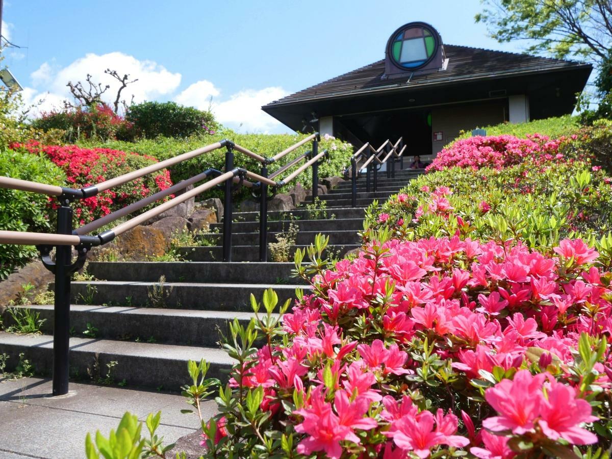 寅さん記念館への階段
