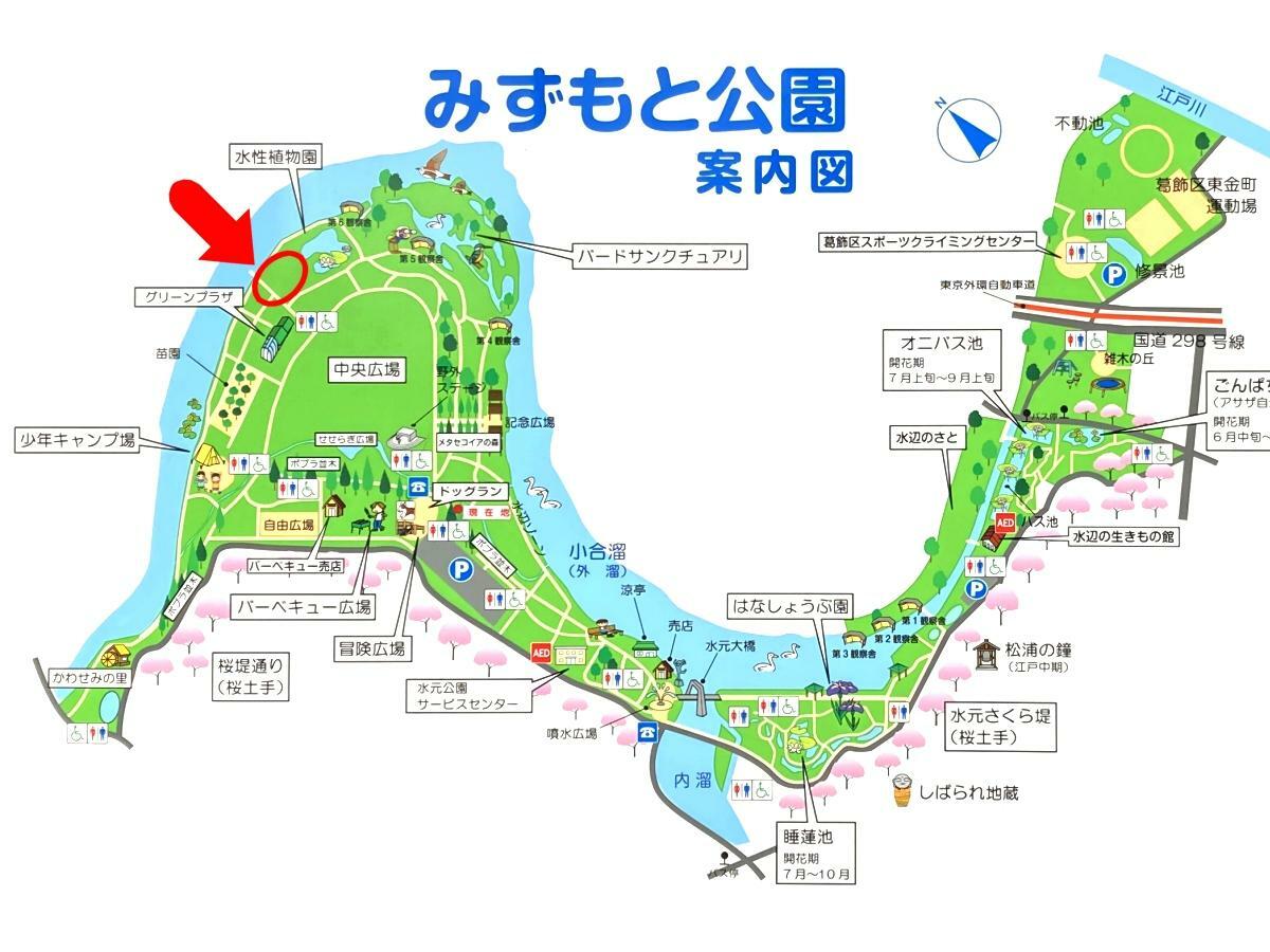 水元公園の案内図。赤丸の中が水生植物園横の花菖蒲田がある場所