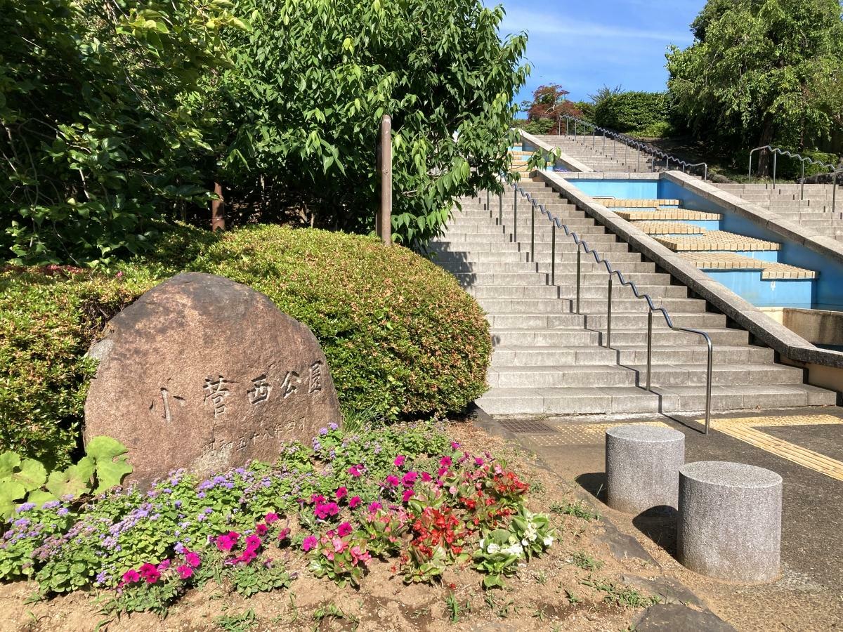 荒川沿いにある小菅西公園の階段