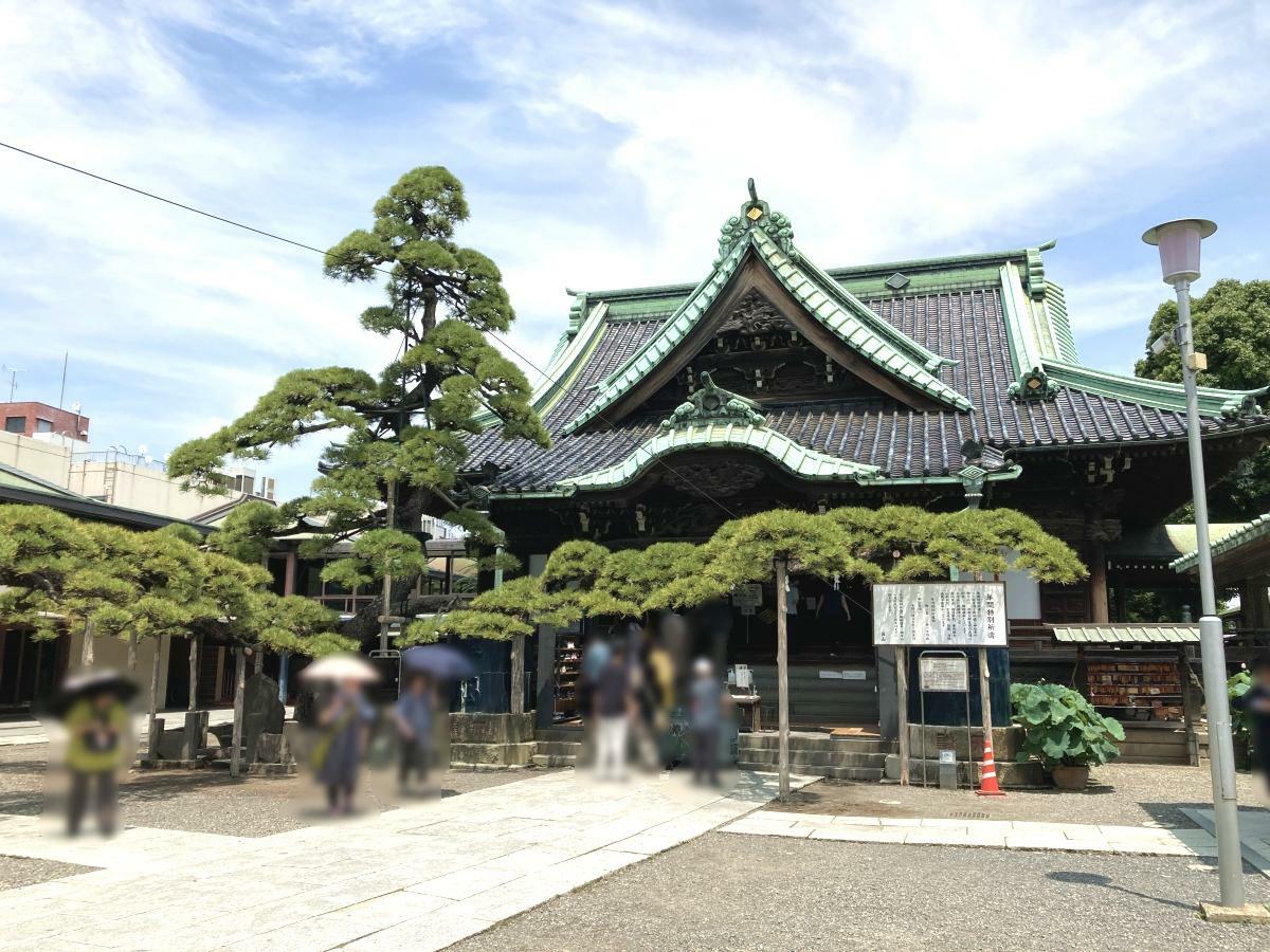 帝釈堂と瑞龍のマツ