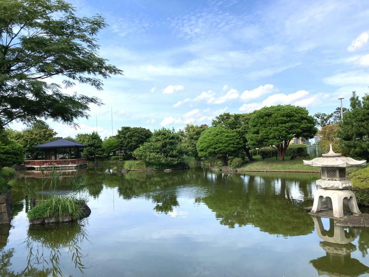 日本庭園の池