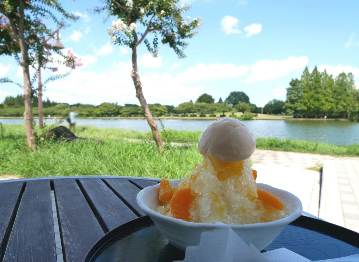 華やかなかき氷が水景色に映える