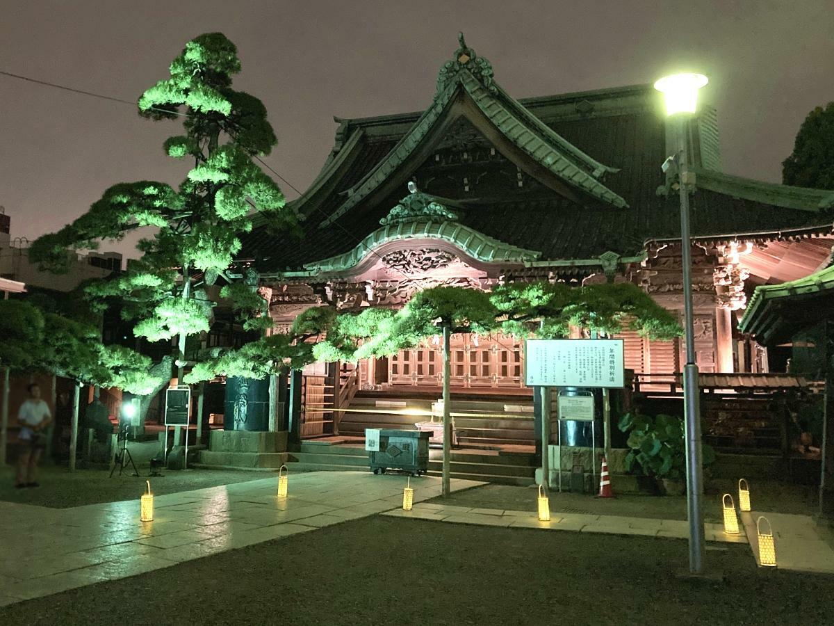 ライトアップされた帝釈堂と瑞龍のマツ