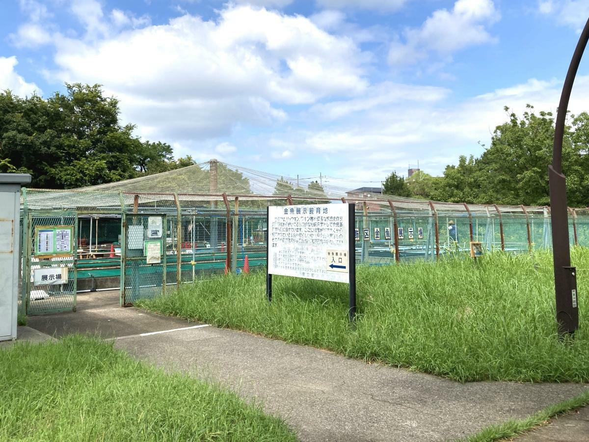 葛飾区金魚展示場