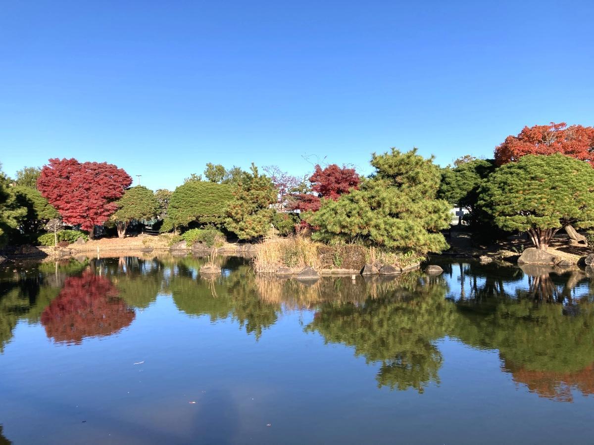 水鏡に姿を映す紅葉が鮮やか