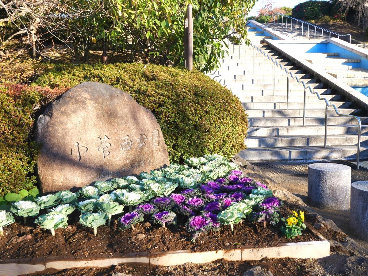 葉牡丹が彩る小菅西公園の石銘板と階段